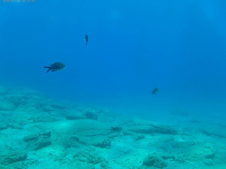 222821178 549580139728654 4690614223217793234 n 768x576