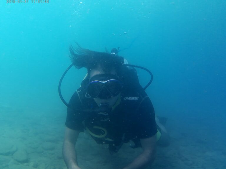 225269833 549576113062390 4732664946338170828 n 768x576