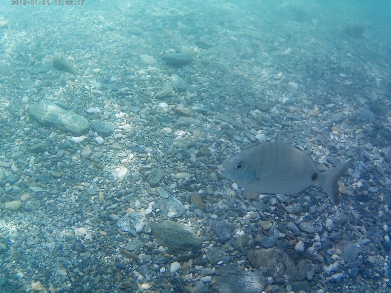 225335261 549577516395583 6299292260897924721 n 768x576