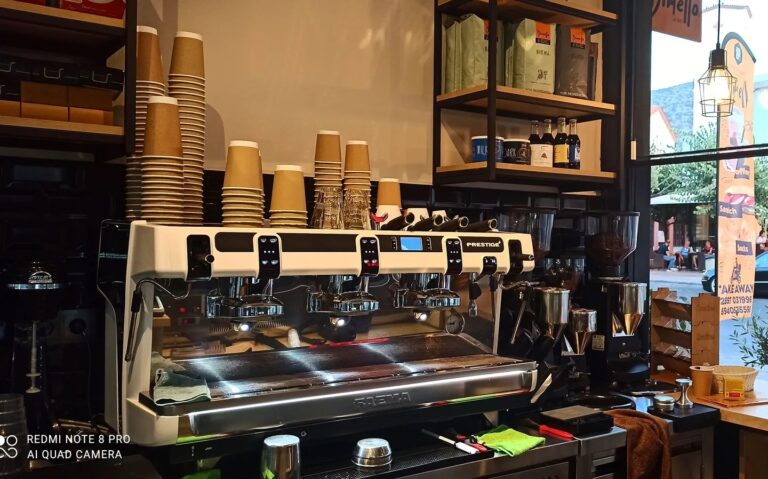 233608280 2615367518766997 7627245509170544395 n 768x479