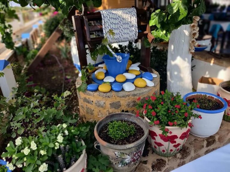 255658528 291264376338510 9015296378133929873 n 768x576