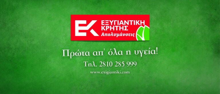 271540786 1570847569951704 5766896399656547285 n 768x329