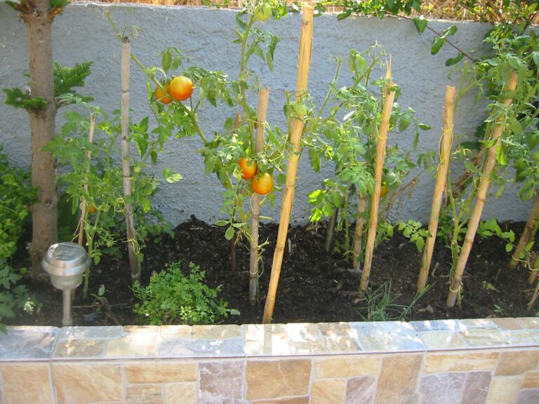 280934 195215397193904 7457399 o 768x576