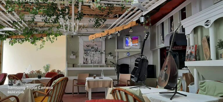 287594035 5425816134117049 1940583078076484227 n 768x354