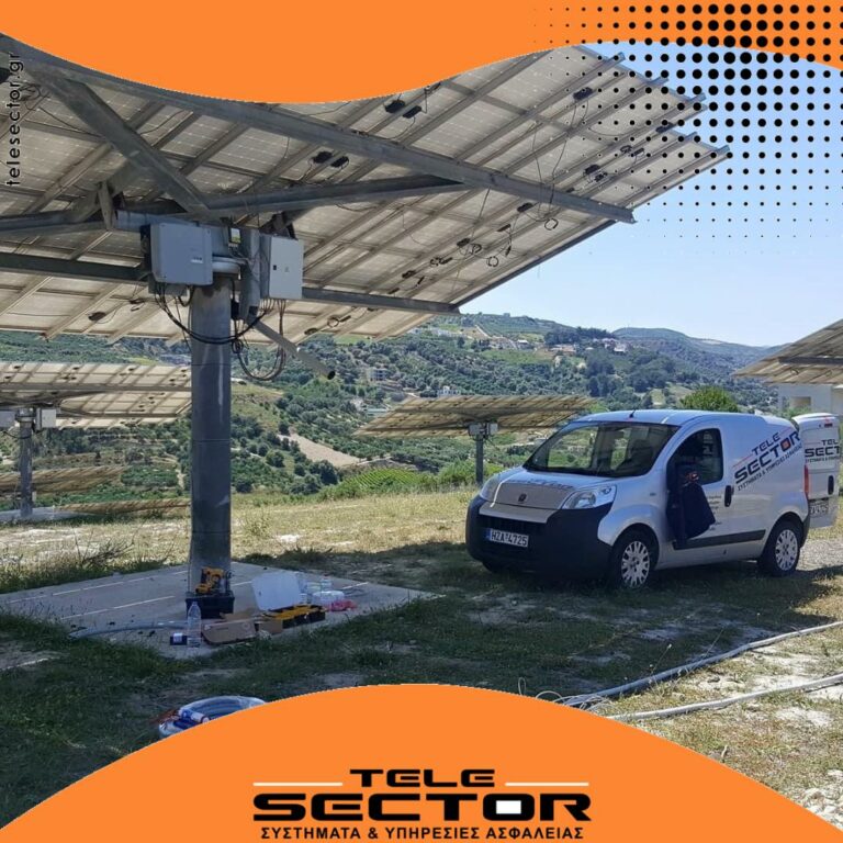 292897209 3358737814404413 7230645385158246801 n 768x768