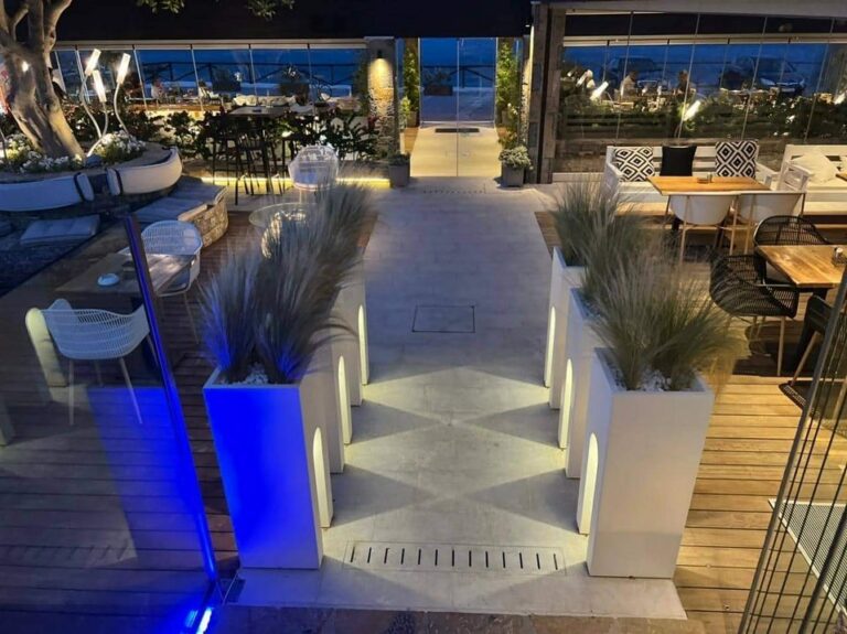 295037273 347759057558369 9004700910713736432 n 768x575