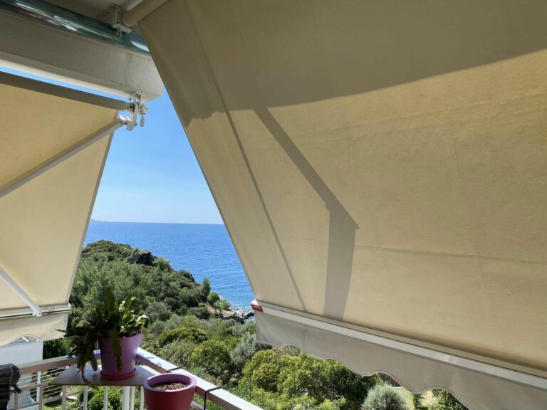 305960483 5642184825843563 6249202578131950506 n 768x576