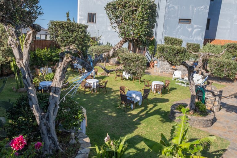 365304417 764095372385894 7613039857974935336 n 768x512