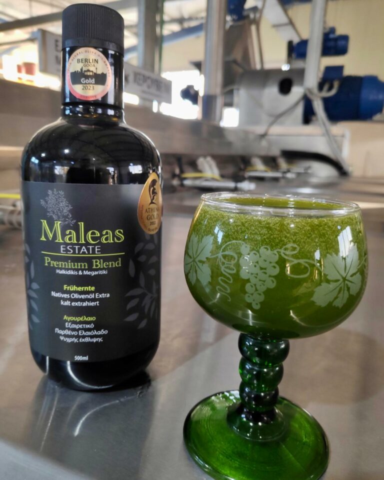 387874762 17979558680585038 8257035225981352495 n 768x960