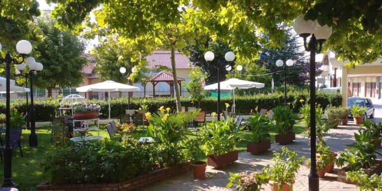 38909536 324197248145798 2296062969248743424 n 768x384