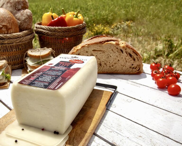 392881611 718695320295858 5517308137667176794 n 768x618