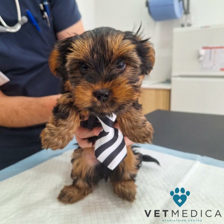 417692265 1067778798193034 3911597137585611782 n 768x769