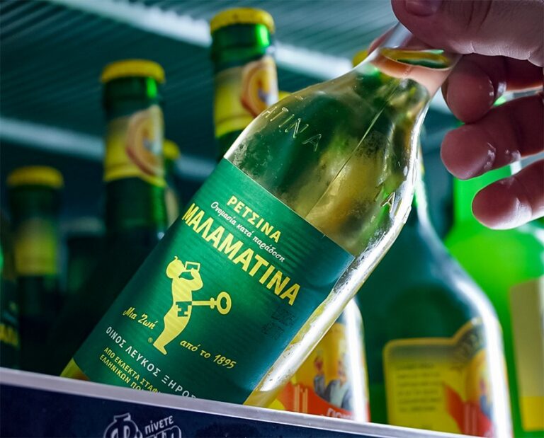 422089491 700869792156169 671695308933612514 n 768x619