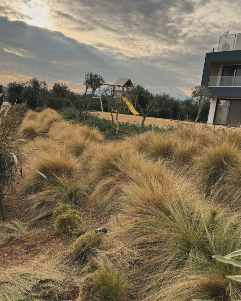 424715629 18029335807921668 2420836480351224375 n 768x960