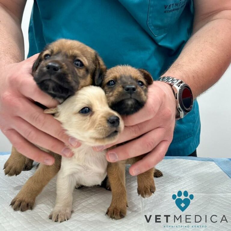 434593970 1089332446037669 104833689208021264 n 768x769