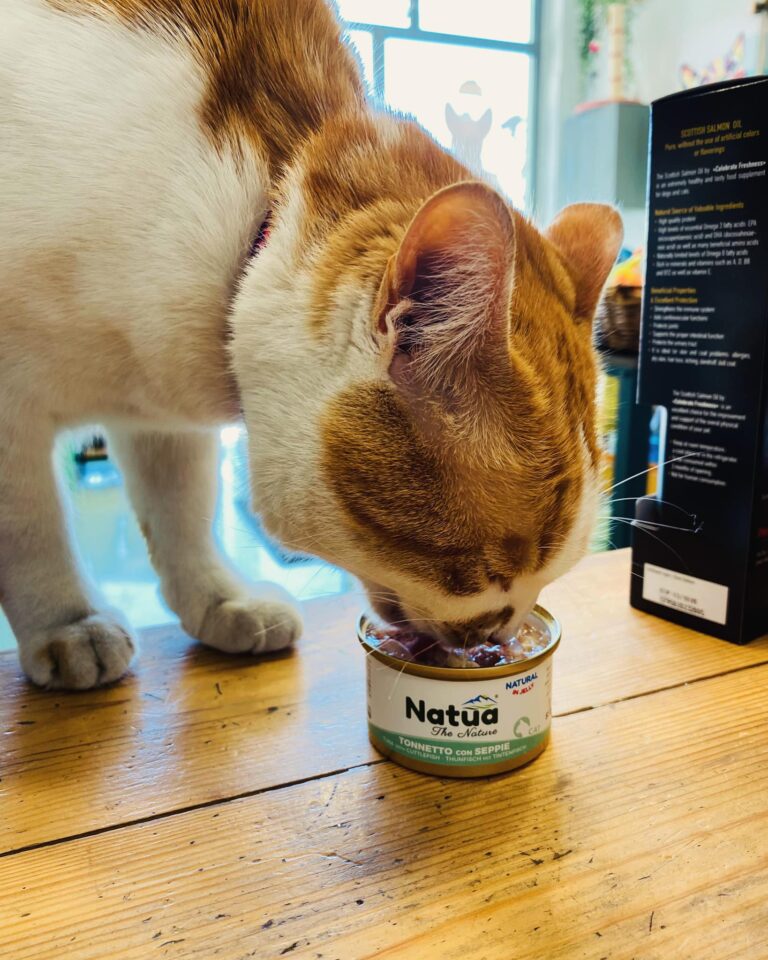 434656213 946620560583808 7839165218830510402 n 768x960