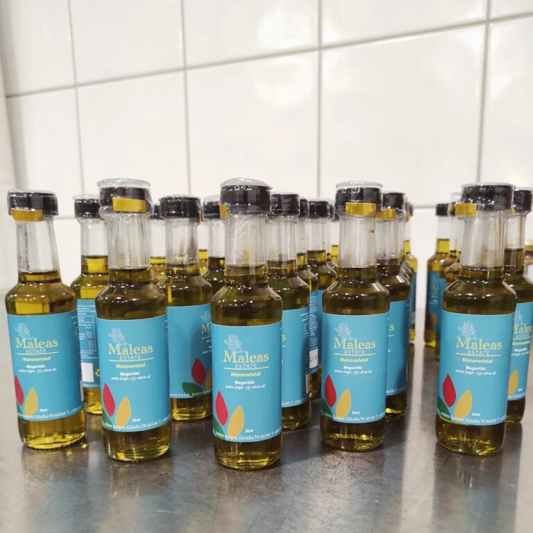 435896728 901234241801041 1645584749272099710 n 768x768