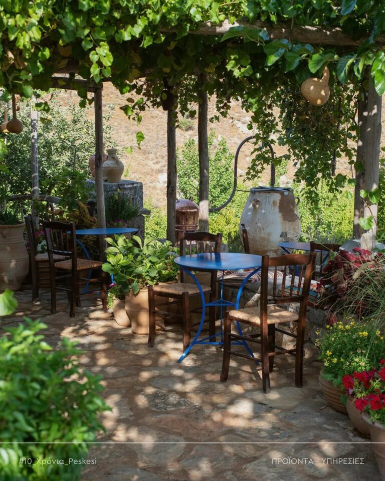 438843996 811963147628592 4259840729875880107 n 768x960