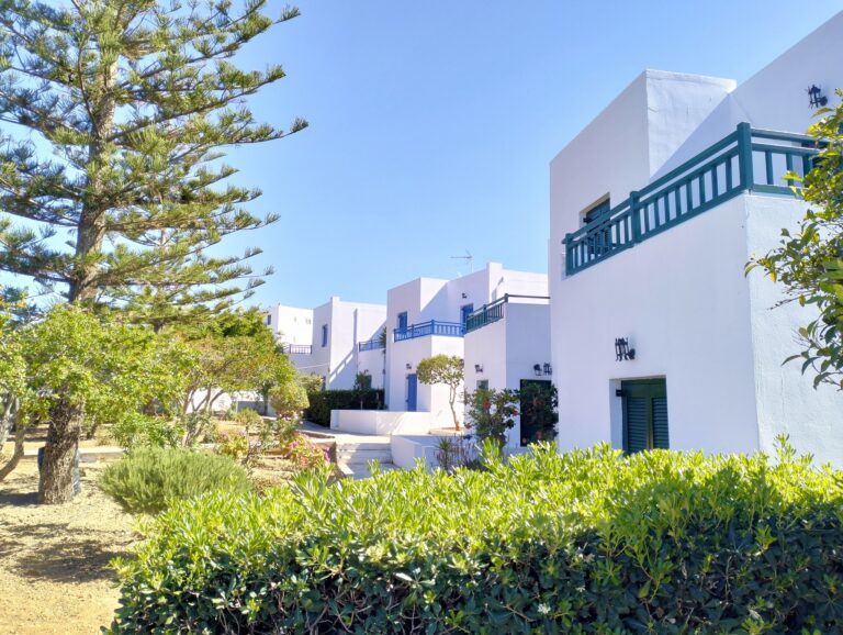 440197380 933169798818564 2222841877239617110 n 768x578