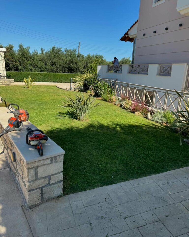 445810226 970168588445102 7128025761951825078 n 768x960