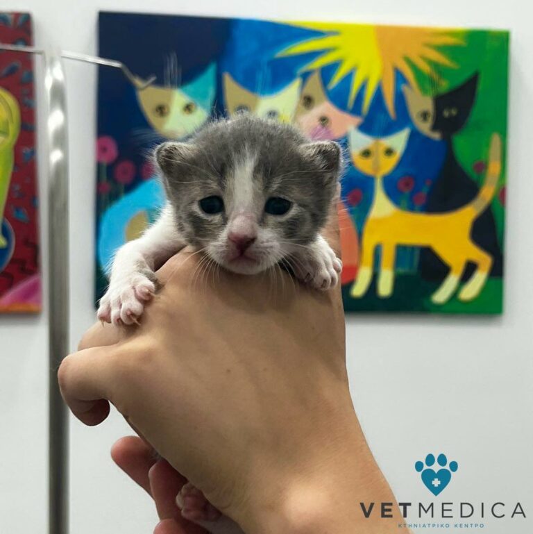 447291479 1130289705275276 4725112053897021084 n 768x769