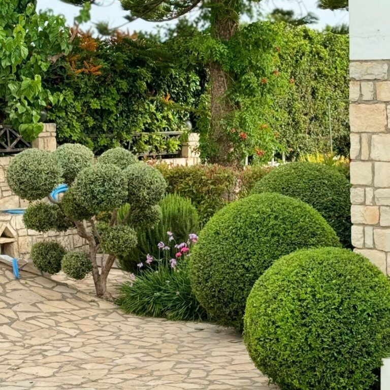 447471800 975918184536809 1718498954888231917 n 768x768