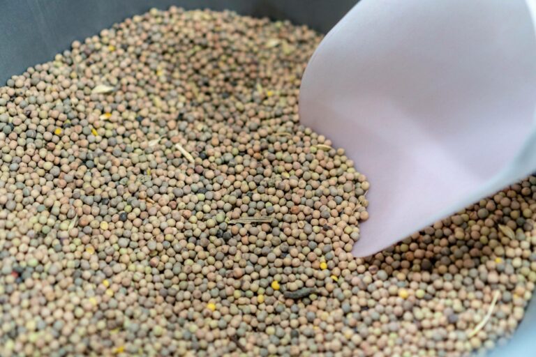 50976871 549608198849590 7437497460919894016 n 768x512