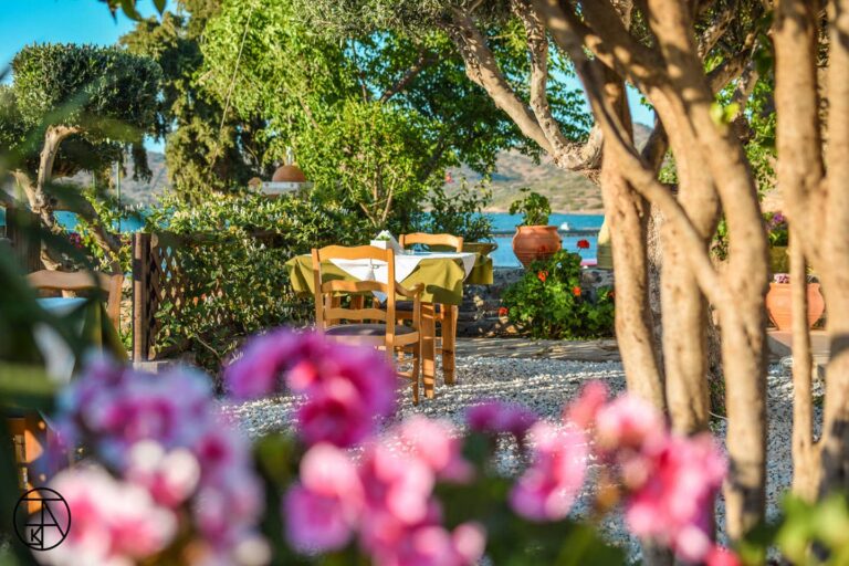 paradisos taverna 01 768x512