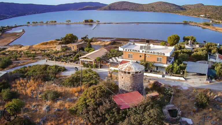 paradisos taverna 08 768x432