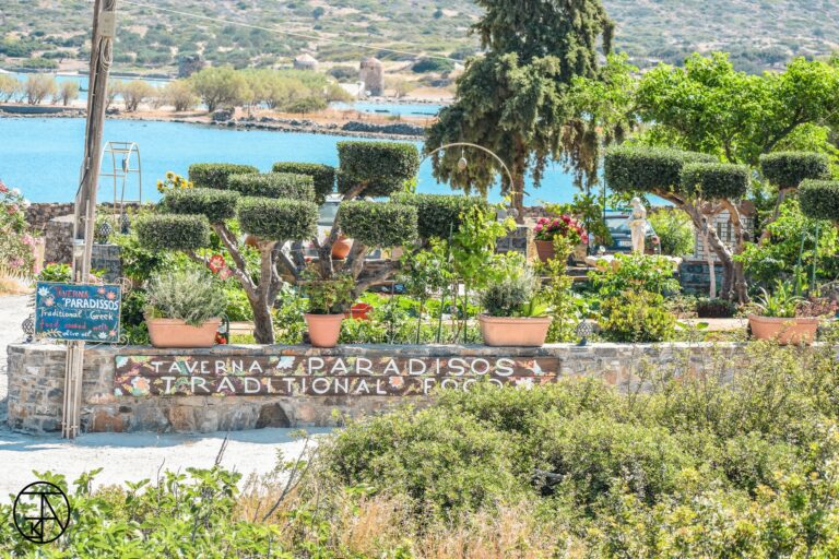 paradisos taverna 14 768x512