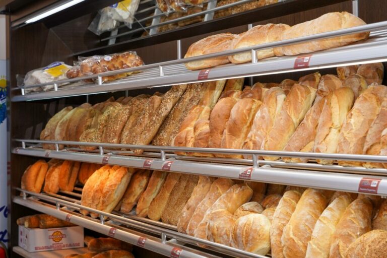 pavlidis2 1024x683 1 768x512