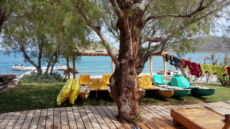 17834240 1909713259266031 1100427109655549522 o 768x432