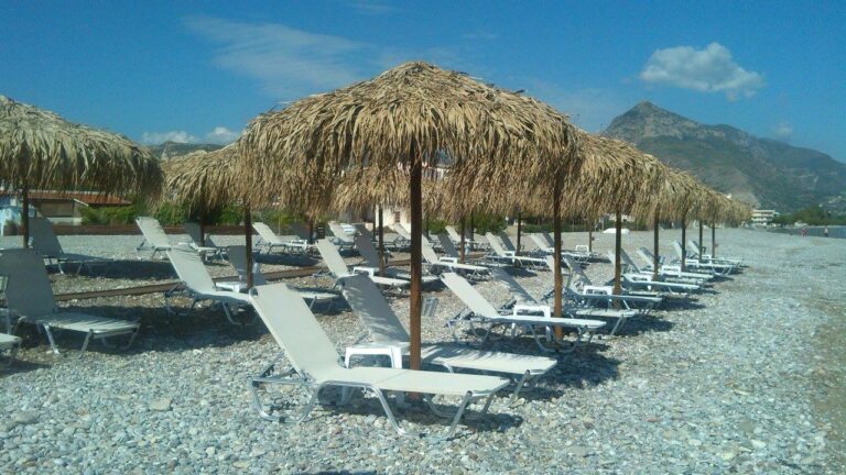 1962432 1639479076266157 5193539965380608837 o 768x432