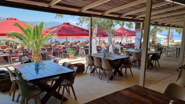 20220627 121648 768x433