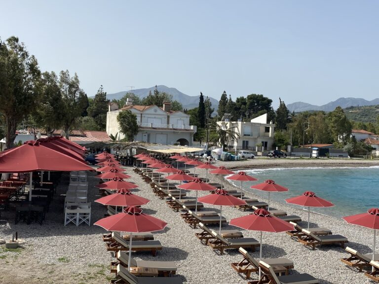 22994AF3 548C 4B63 ADB3 3794C00F35A6 768x576