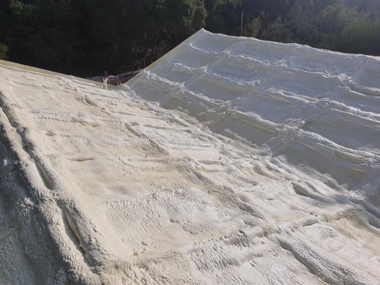 269774373 232899295694988 3311001834997415816 n 768x576