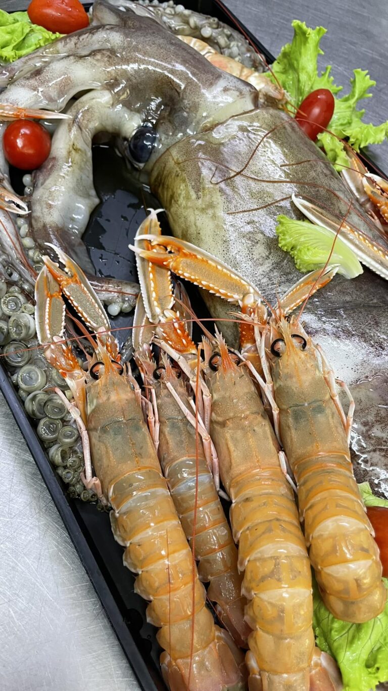 295011409 3078538945791004 587883872071615749 n 768x1368