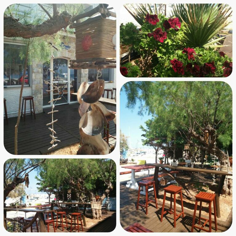 31472698 2111098025770924 5206346017006256603 n 768x768