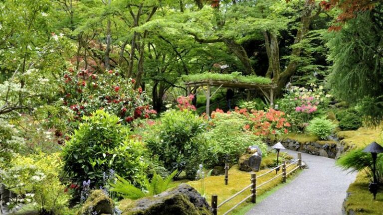 34255 KATASKEYES KIPON – FYTORIA – LIPASMATA KATASKEYI KAI SYNTIRISI KIPON LARDOS RODOS ARHITEKTONIKI TOPIOY META DRITAN 58 768x432