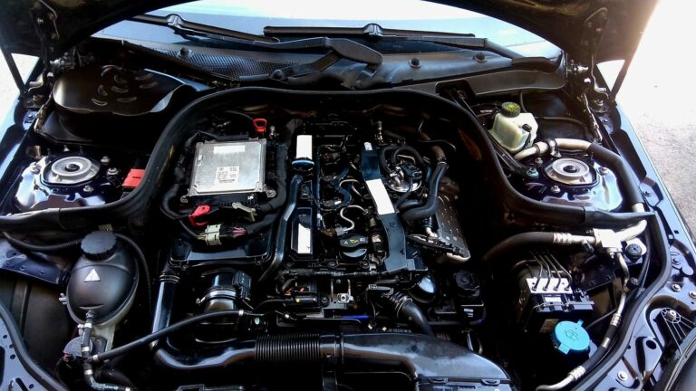 432766915 916177253627819 1261169743749850443 n 768x432