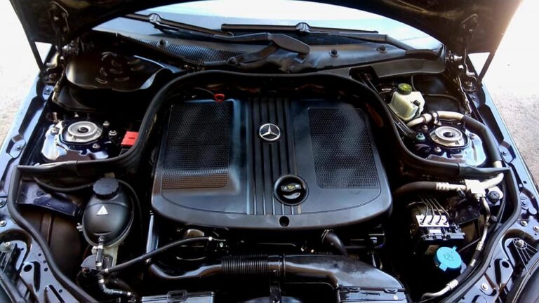 433851451 916176906961187 3786419134323208781 n 768x432