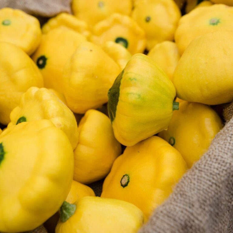 438092897 997733162357327 6203787323276223474 n 768x768