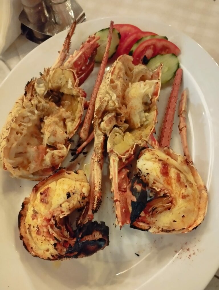 441310372 329614243496541 6442450180320448084 n 768x1020