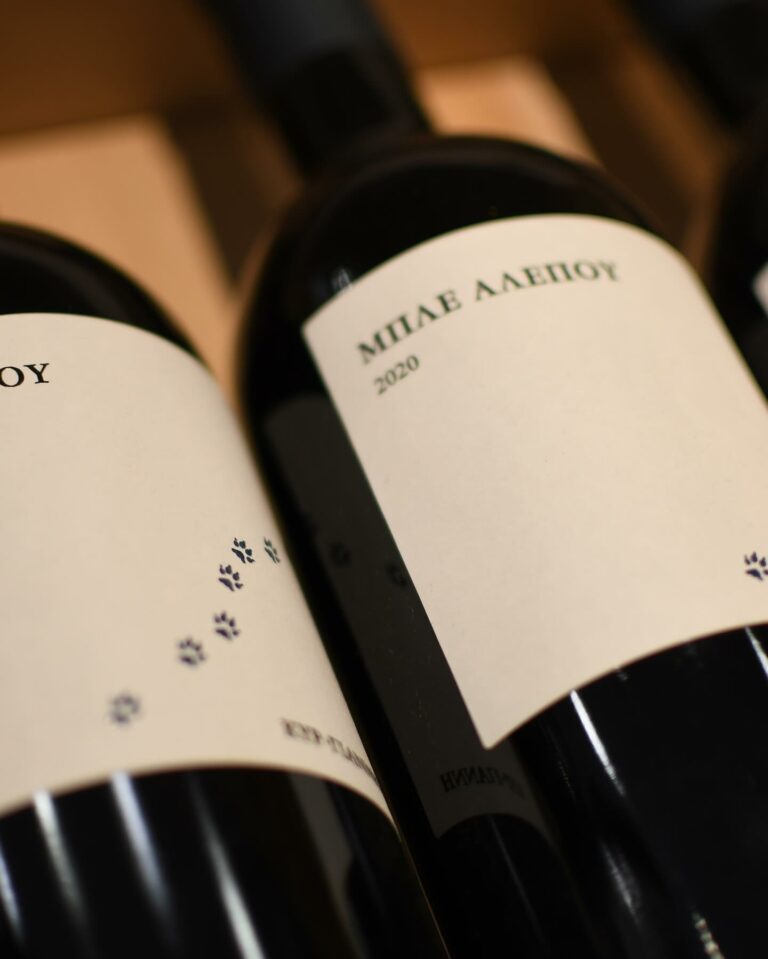 445533752 18033466190097549 2655002481120236457 n 768x959