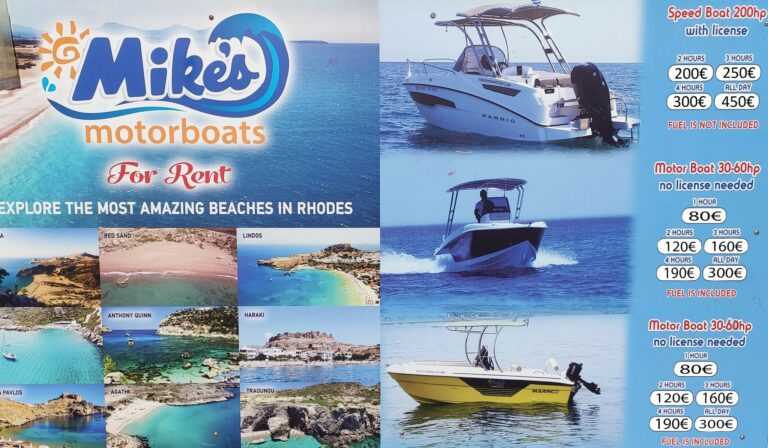 445772432 766829478955192 2068341128254633871 n 768x448