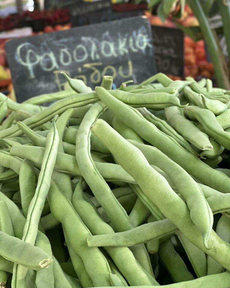 447029506 1024475413016435 6660648728079639539 n 768x961