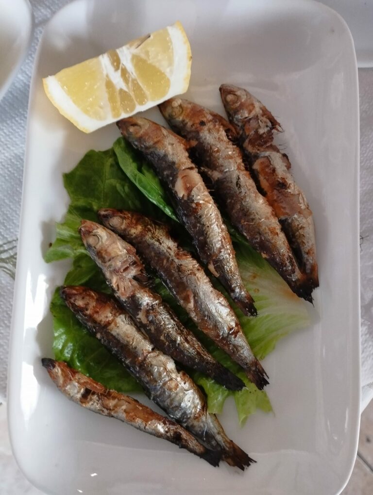 448019113 346053208519311 929505783178447762 n 768x1020