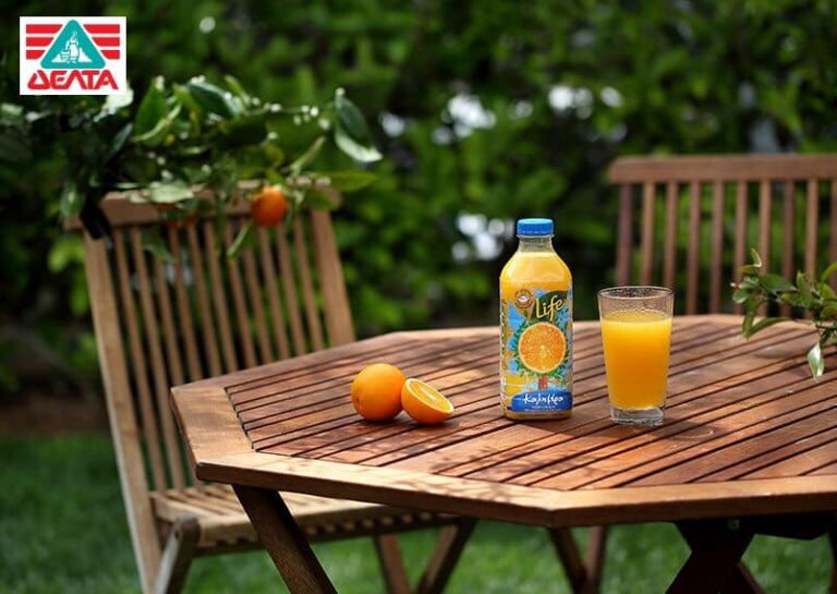 56466319 2302583526697390 1191905814651076608 n 768x545