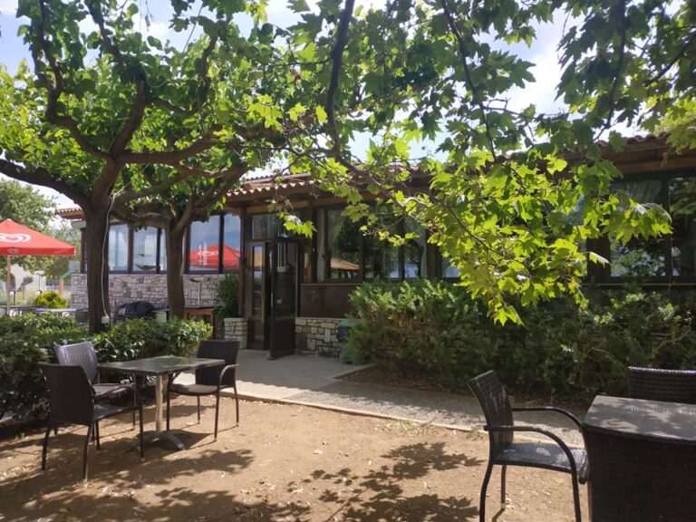 61996820 2204689596509281 2805796439626612736 n 768x576