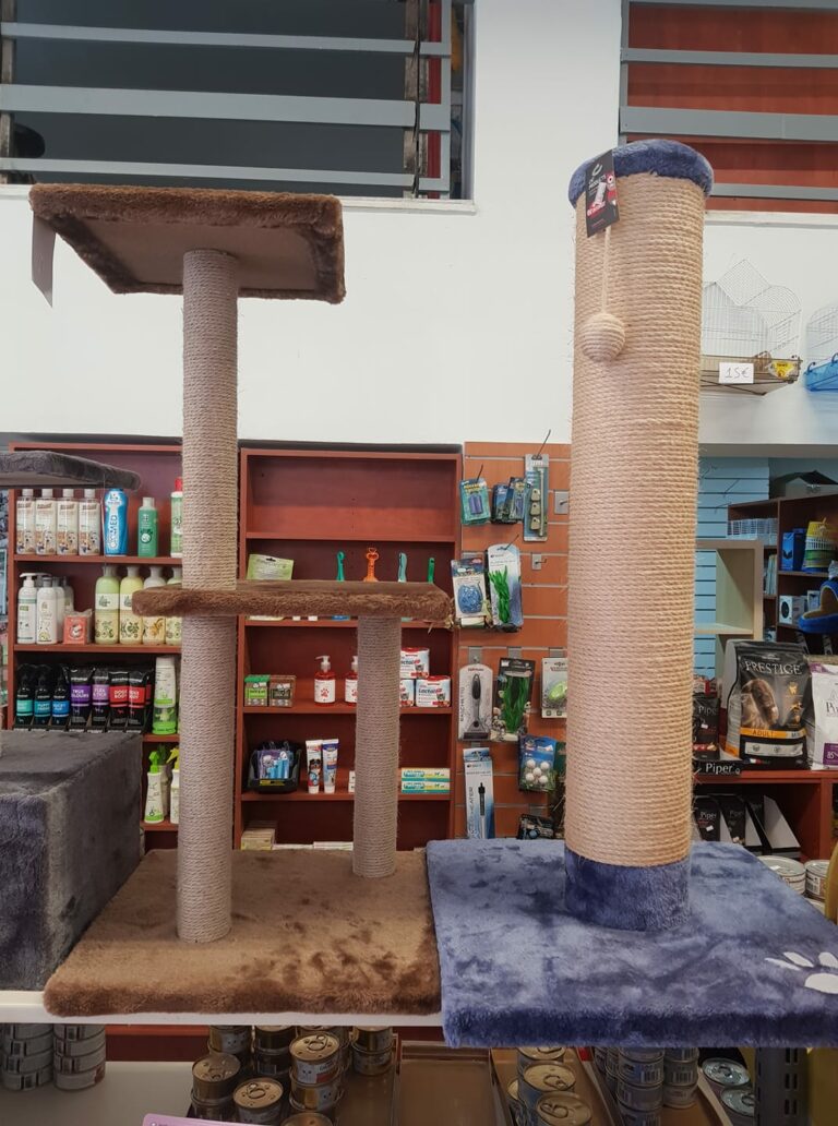 84166250 2930618146983182 7690488858768572416 n 768x1032